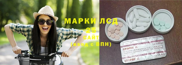 сатива Алзамай