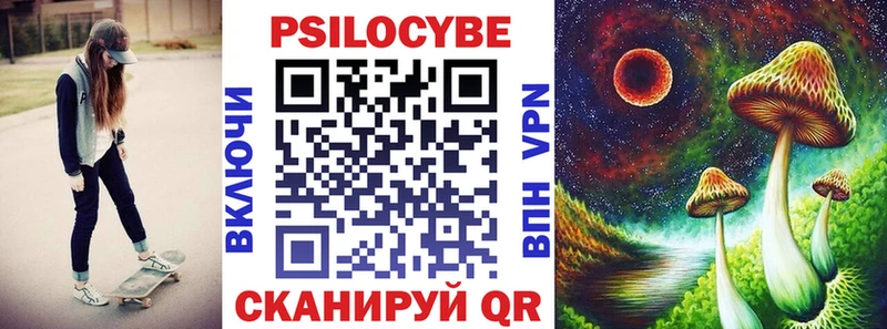 купить  цена  Грязи  Псилоцибиновые грибы ЛСД 