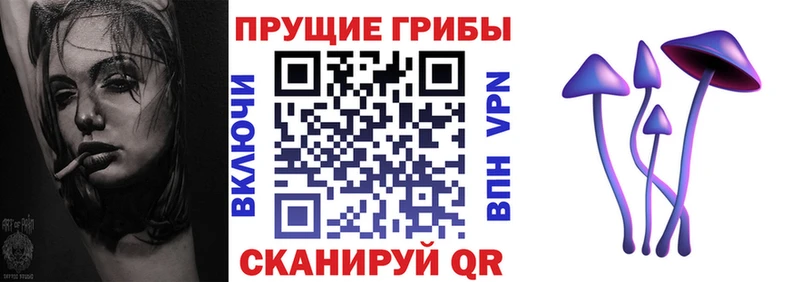 Псилоцибиновые грибы ЛСД Грязи